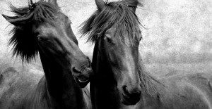 the warmth of your breath on my cheek