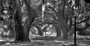 three decades later I still can't let go of what happened here. city park new orleans