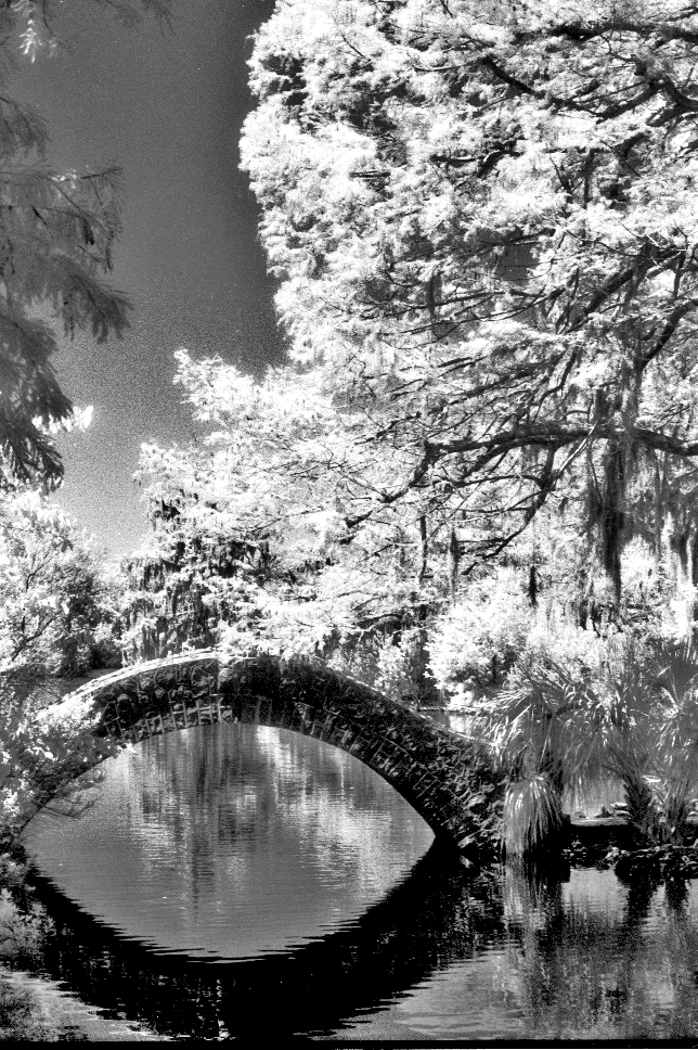 My Light, my hope, my life, I miss you so A striking black-and-white photograph capturing a stone bridge gracefully arching over tranquil waters in New Orleans City Park, evocative of the melancholic beauty found in Jimmy Webb's 'MacArthur Park.' This song, famously recorded by Richard Harris, weaves a narrative rich in emotional depth and vivid imagery, exploring themes of love, loss, and the bittersweet passage of time. The bridge in the photograph symbolizes the connection between past and present, mirroring the song's poignant reflection on memories that linger like a cake left out in the rain, forever tainted by the impermanence of life.
Harris's soulful rendition imbues the lyrics with a dramatic intensity, as he conveys the heartache of nostalgia and yearning, making each note resonate with longing. The interplay of light and shadow in the image echoes the contrasting emotions of hope and despair expressed in the song. Together, the photograph and the lyrics encapsulate a moment frozen in time, inviting viewers to reflect on their own experiences of love and memory, and the beauty that can be found even in loss.