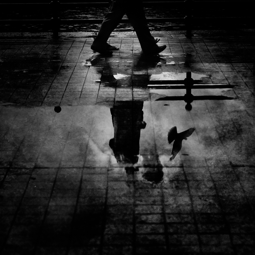 A reflective image of a man gazing into a puddle, capturing the essence of longing and introspection that permeates the accompanying narrative. The rippling water mirrors the man's face, symbolizing the deep emotional connection to a cherished memory—a dream where he reunites with a lost love. This moment of reflection evokes the narrator's struggle between the fleeting joy of remembering and the sorrow of waking to the reality of loss.
The puddle serves as a metaphor for the narrator's heart, where dreams and reality intertwine, illustrating how love can linger even in absence. The soft morning light enhances the poignant atmosphere, mirroring the warmth of memories shared and the bittersweet nature of dreams that fade at dawn. The image encapsulates the pain of heartache and the desire for healing, emphasizing the profound impact of love that continues to resonate long after it is gone.
In this visual representation, the contrast between the serene water and the man’s contemplative expression reflects the duality of joy and sadness, inviting viewers to explore the complexities of love, memory, and the emotional journey toward acceptance and healing.
